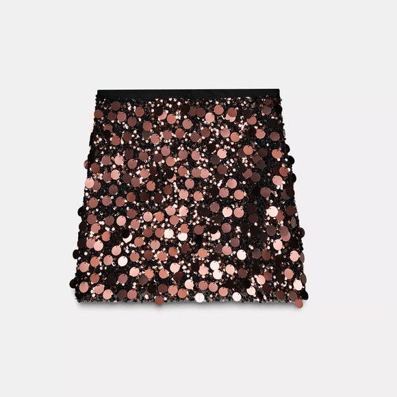 Zara Skirts Zara Sequin Mini Skirt Poshmark — free download